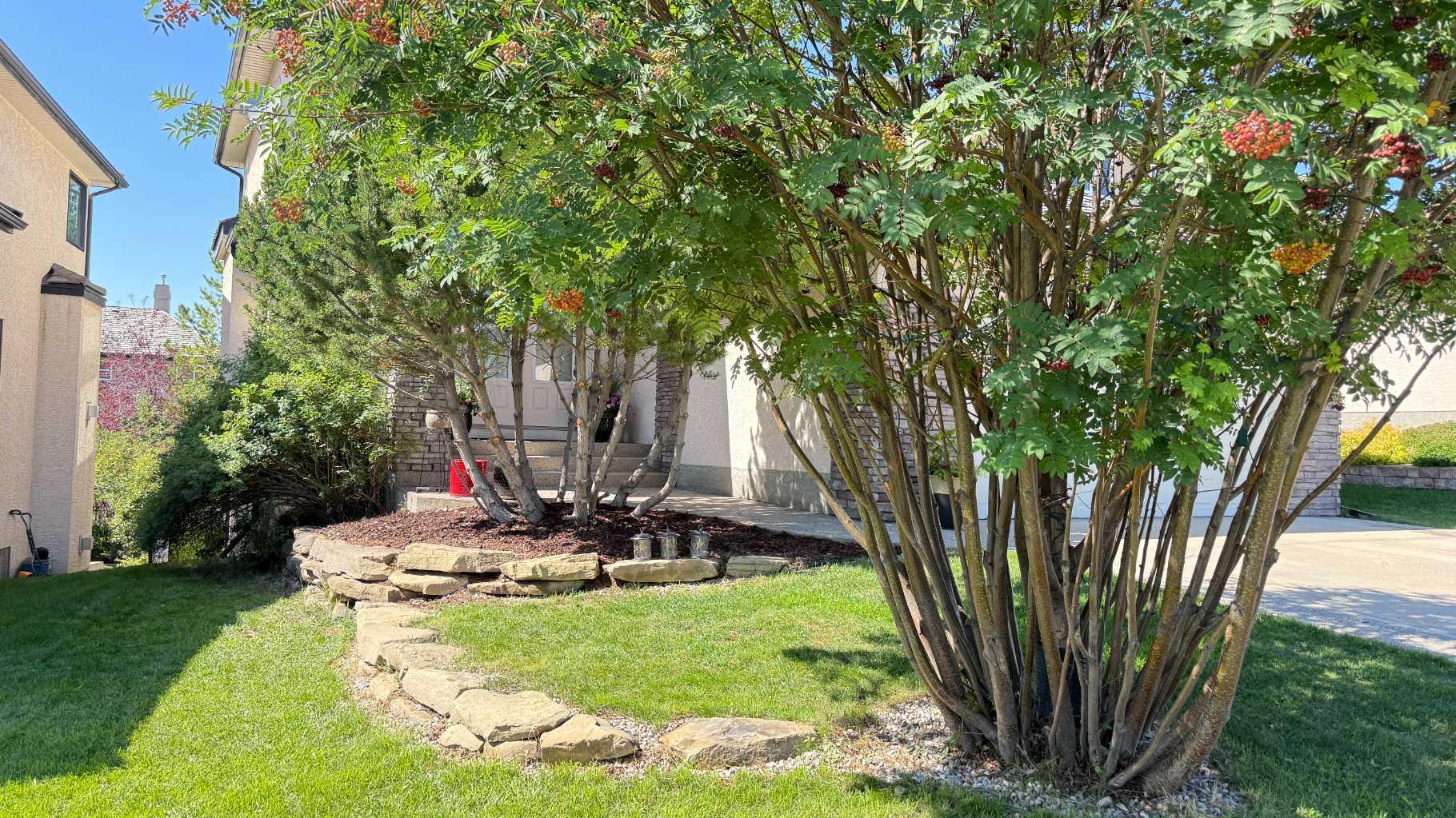 126 Arbour Vista Road NW
