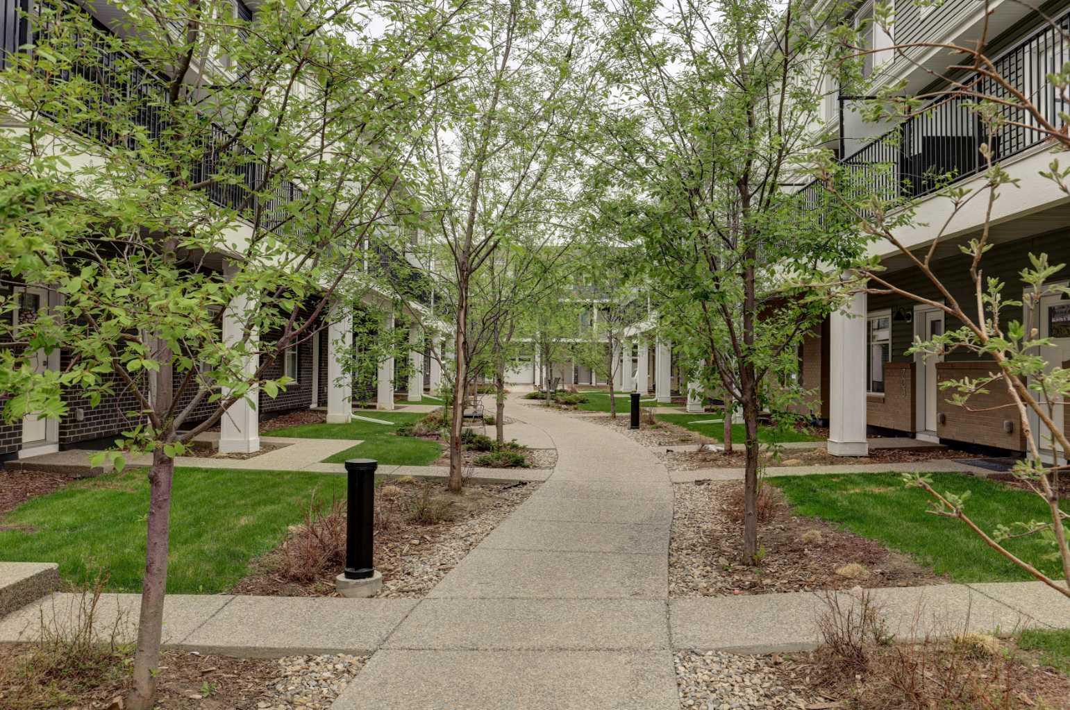 50 Cornerstone Passage NE 705