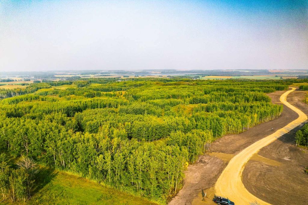 Photo of SW 1/4 Sec 21-42-1-5; Lot 29, Rural Ponoka County, AB T0C 2J0 (MLS # A2287760)