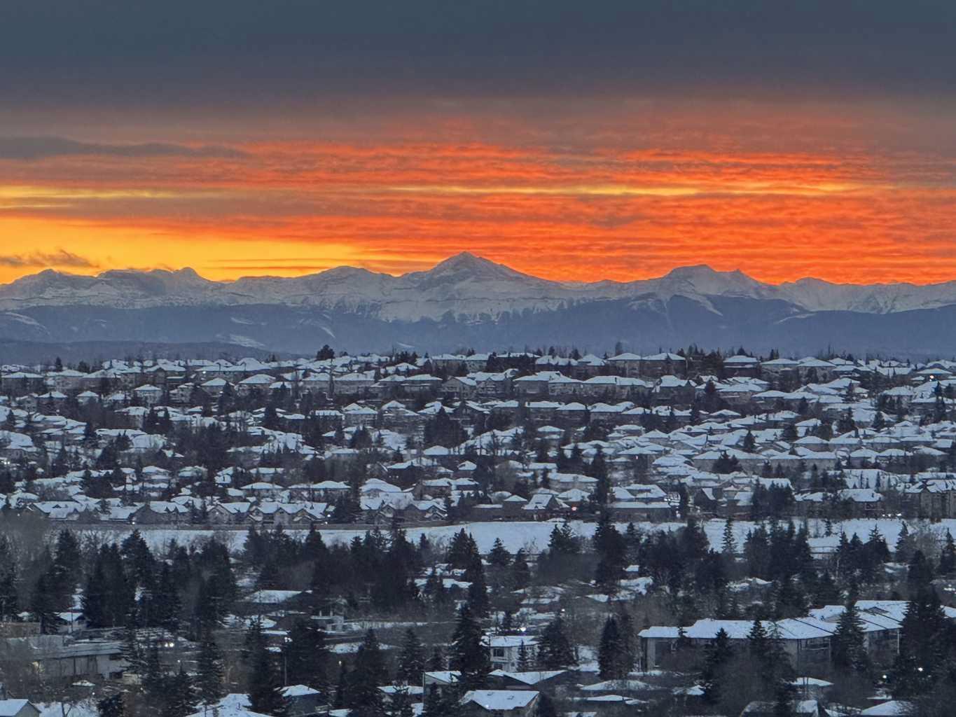 99 Spruce Place SW 2706