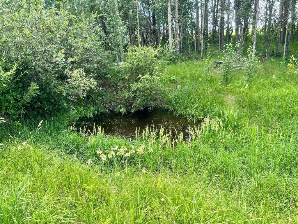 Photo of RR40 south of Twp Rd 293, Rural Mountain View County, AB T0M 0S0 (MLS # A2289646)