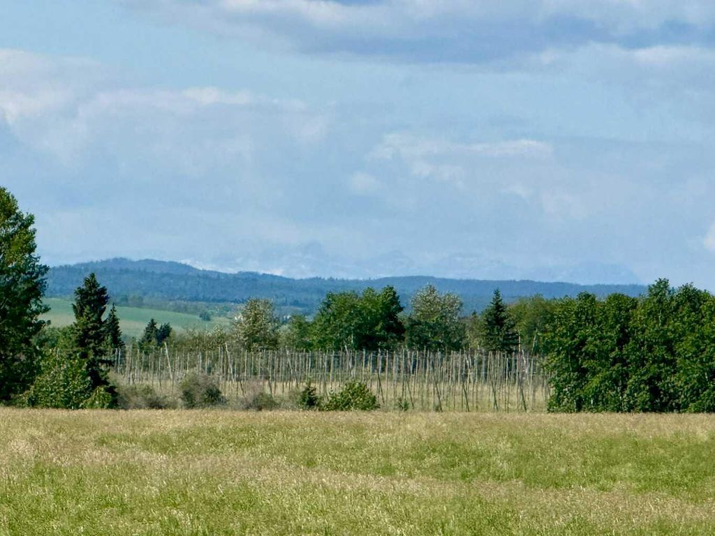 Photo of RR40 south of Twp Rd 293, Rural Mountain View County, AB T0M 0S0 (MLS # A2289646)