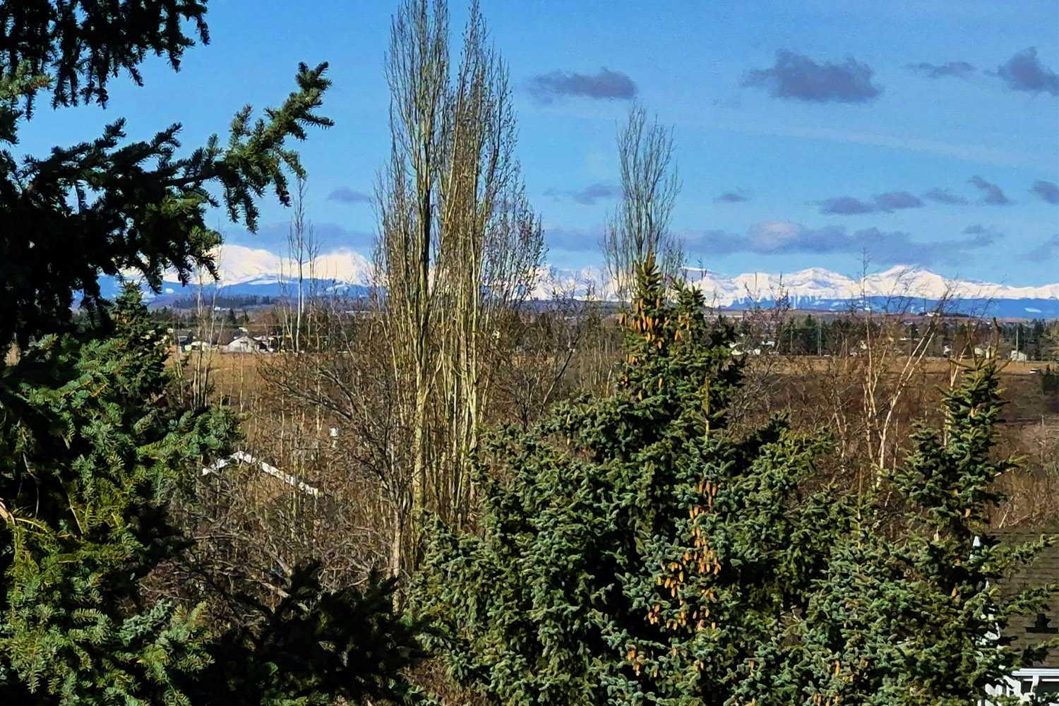 286 Mountain Park Drive SE