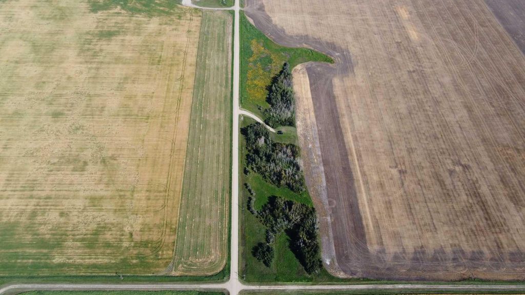 Photo of RGE RD 292, Rural Rocky View County, AB T0M 0S0 (MLS # A2264806)