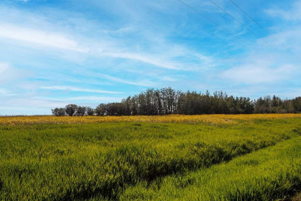 Photo of RGE RD 292, Rural Rocky View County, AB T0M 0S0 (MLS # A2264806)
