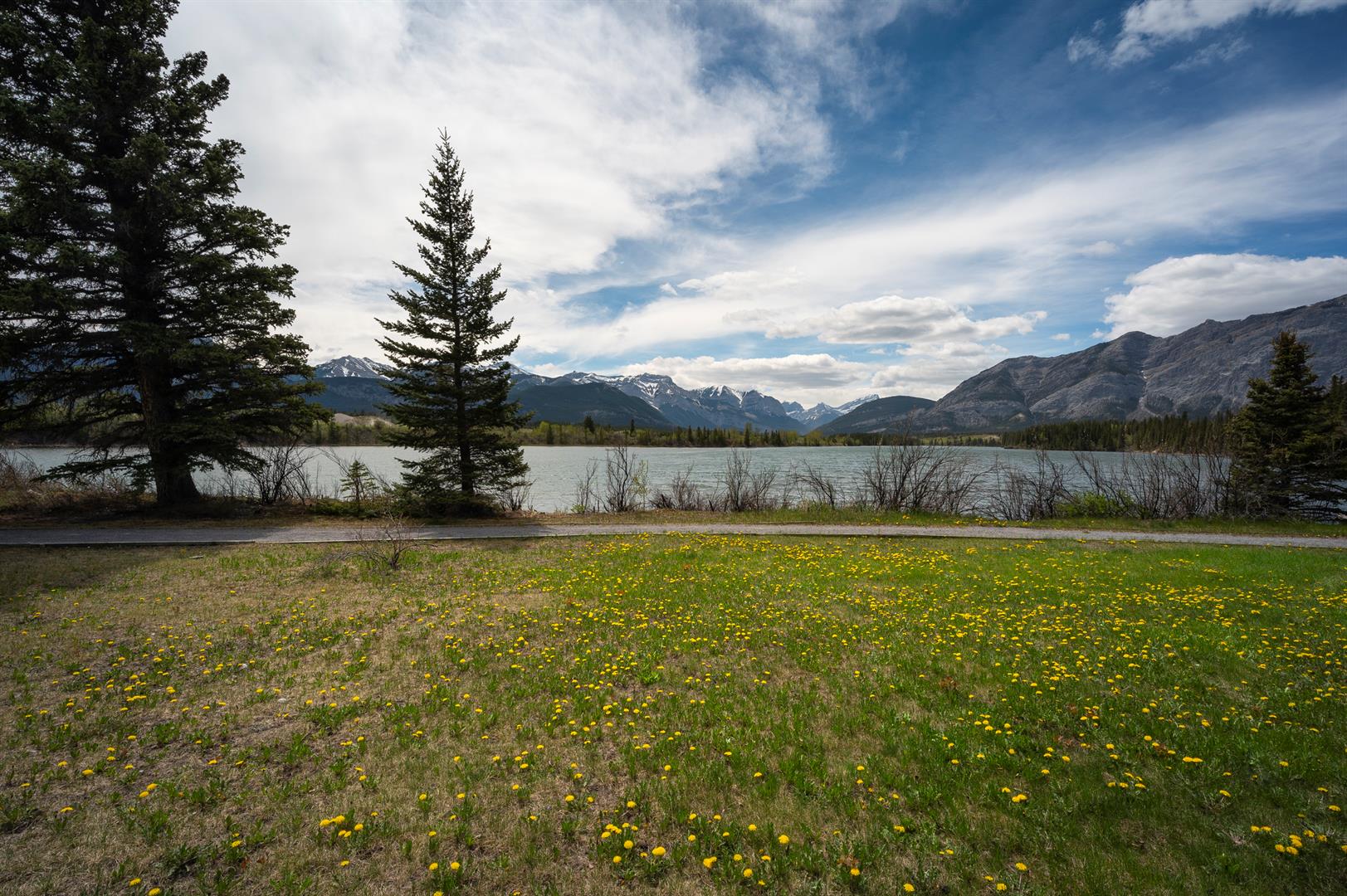 25 Bagley Pass