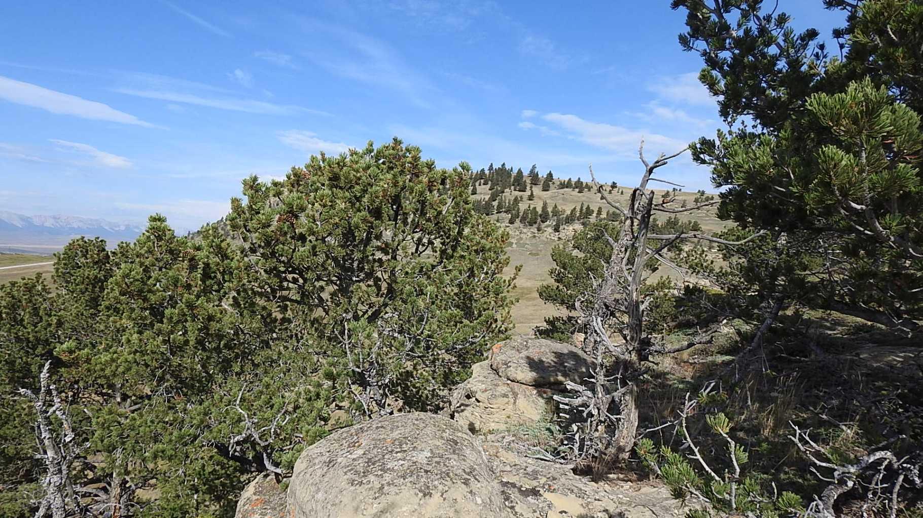 157 Acres Snake Trail