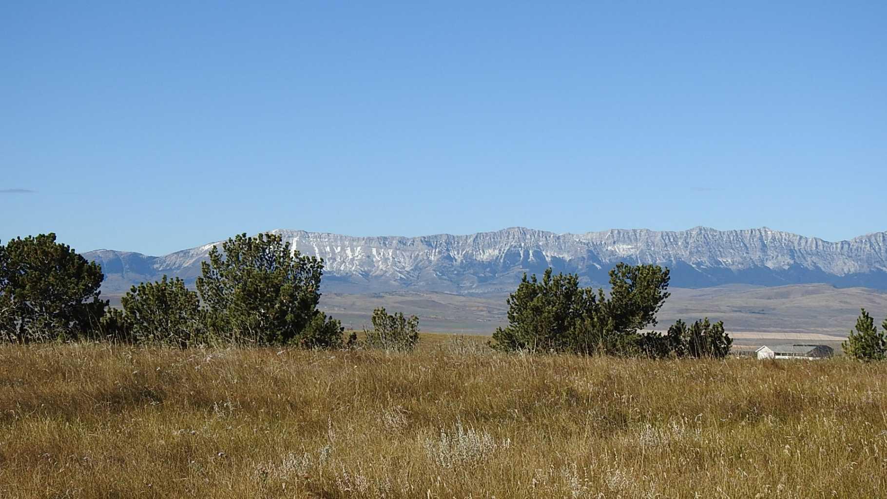 157 Acres Snake Trail