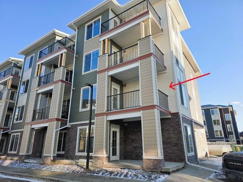 15 Skyview Point Crescent 2220 Calgary AB T3N 2T1