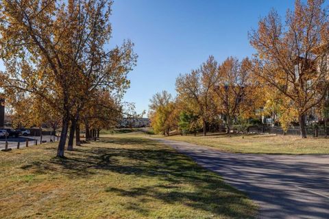 4455D Greenview Drive NE 303 Calgary AB T2E 6M1