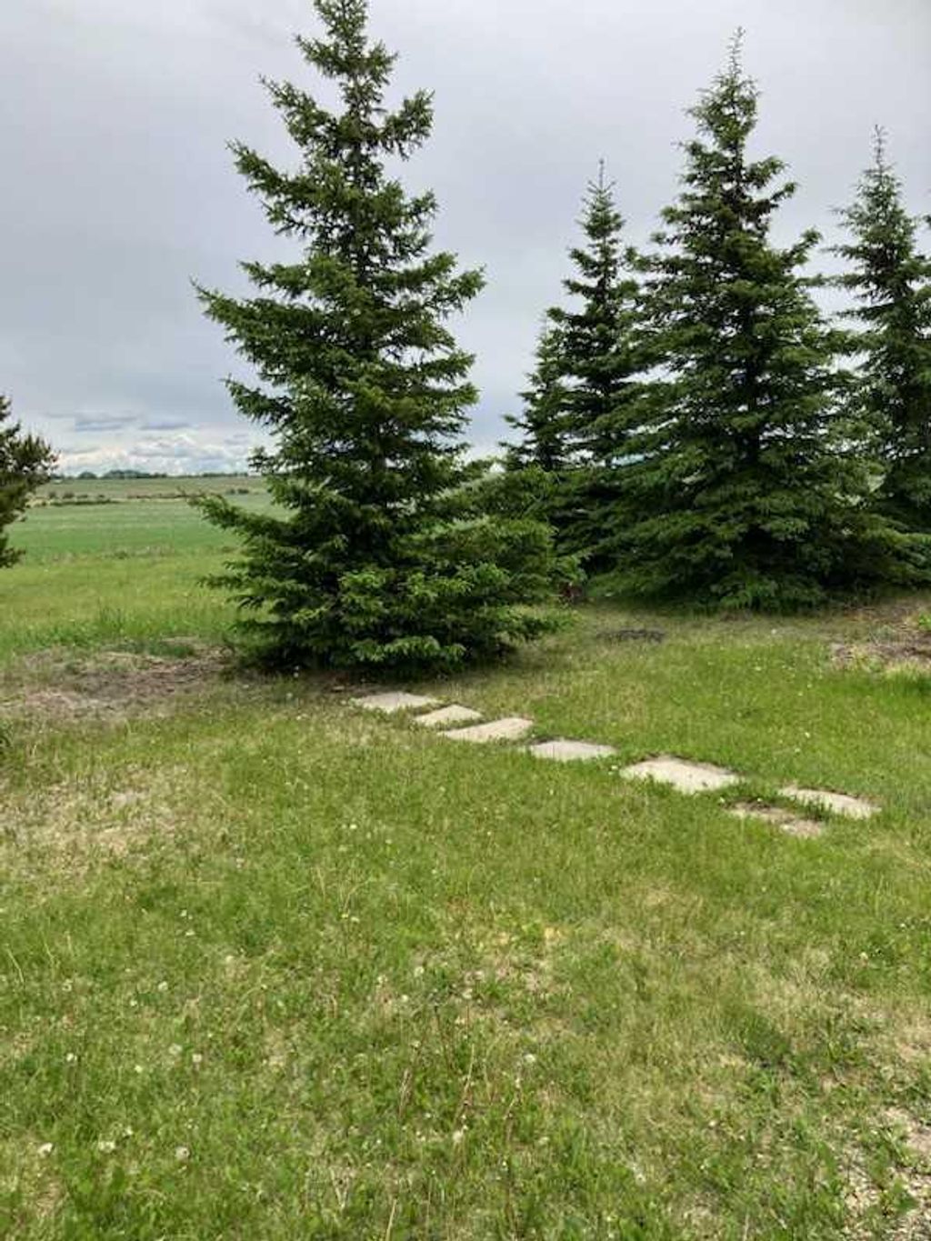 Photo of Range Road 63 #723079, Rural Grande Prairie No. 1, County of, AB T8X 4L7 (MLS # A2293681)