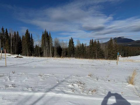 436 LILY Avenue Nordegg AB T0M 2H0