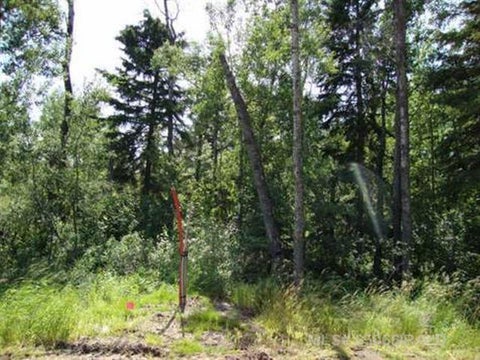 Photo of Lot 1 Blk 5 LAKESIDE Drive, Perch Lake, SK S0M 2G0 (MLS # A2340920)