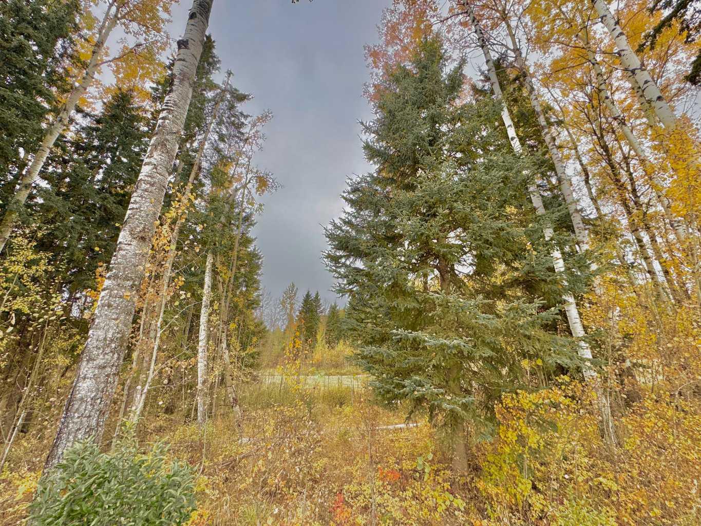 301 Valley View Drive