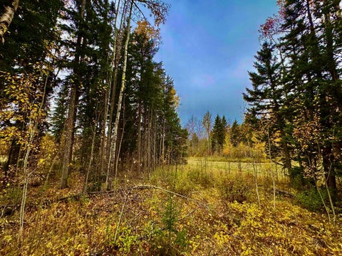 Photo of 301 Valley View Drive, Rural Clearwater County, AB T4T 1A7 (MLS # A2264713)
