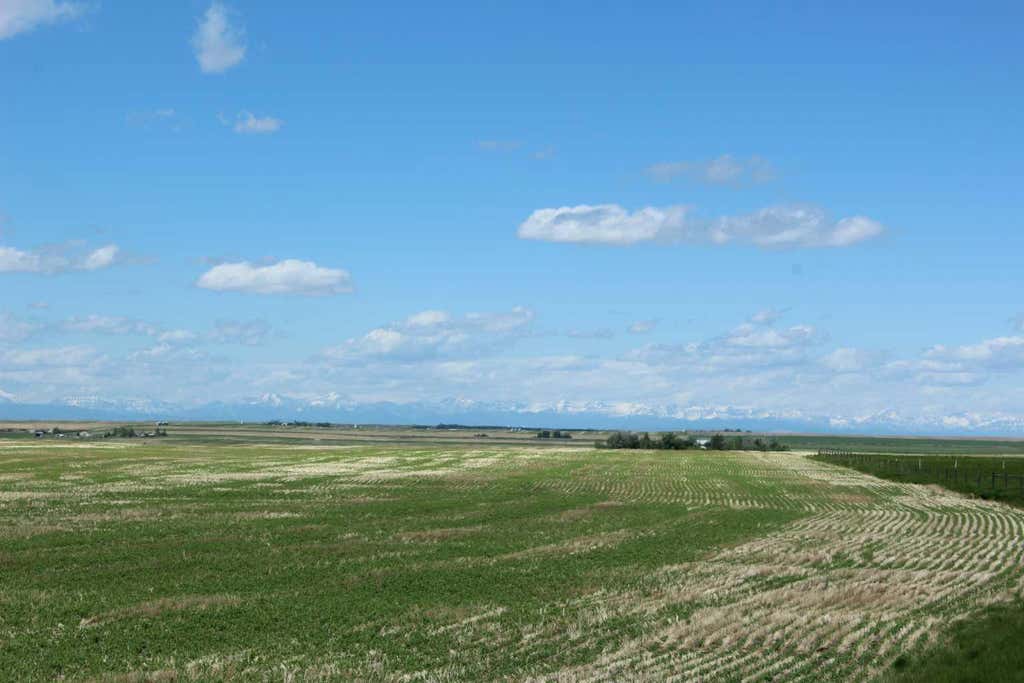 Photo of RR 262, Rural Vulcan County, AB T0L 0L0 (MLS # A2318629)