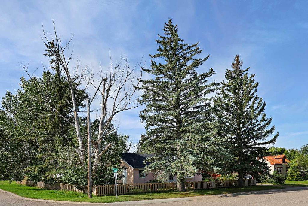 Photo of 339 3 Street, Irricana, AB T0M 1B0 (MLS # A2287598)