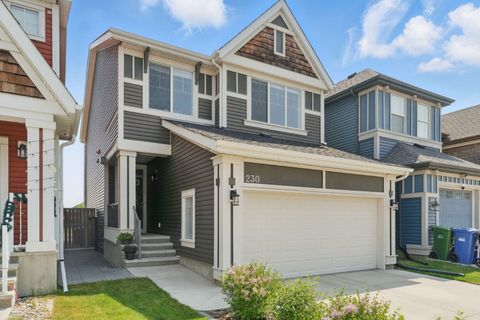 230 Auburn Crest Way SE Calgary AB T3M 1P8