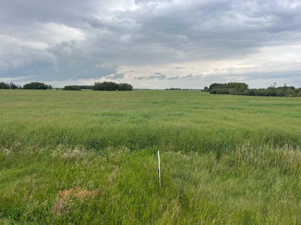 Photo of 316 Niblock Street, Bawlf, AB T0B 0J0 (MLS # A2076409)