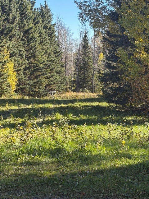 Photo of 6015 Township Road 334, Rural Mountain View County, AB T0M 1X0 (MLS # A2354011)
