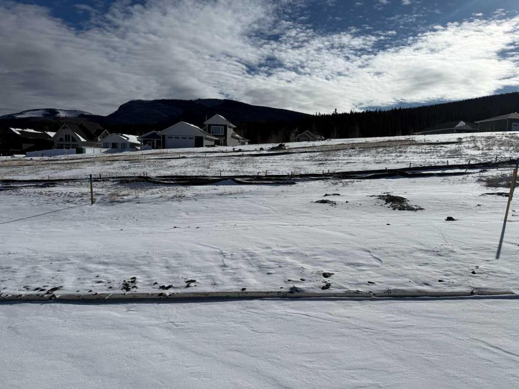 Photo of 445 LILY Avenue, Nordegg, AB T0M 2H0 (MLS # A2289691)