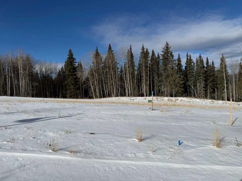 460 LILY Avenue Nordegg AB T0M 2H0