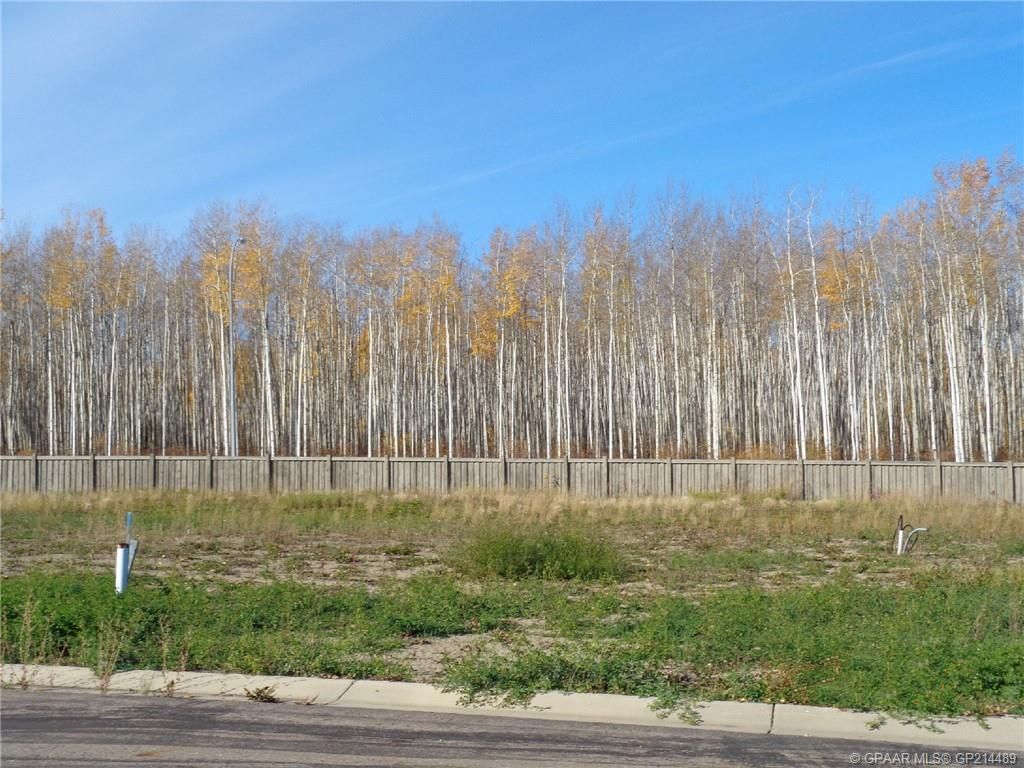 Photo of 19 Bear Creek Drive, High Level, AB T0H 1Z0 (MLS # GP214489)