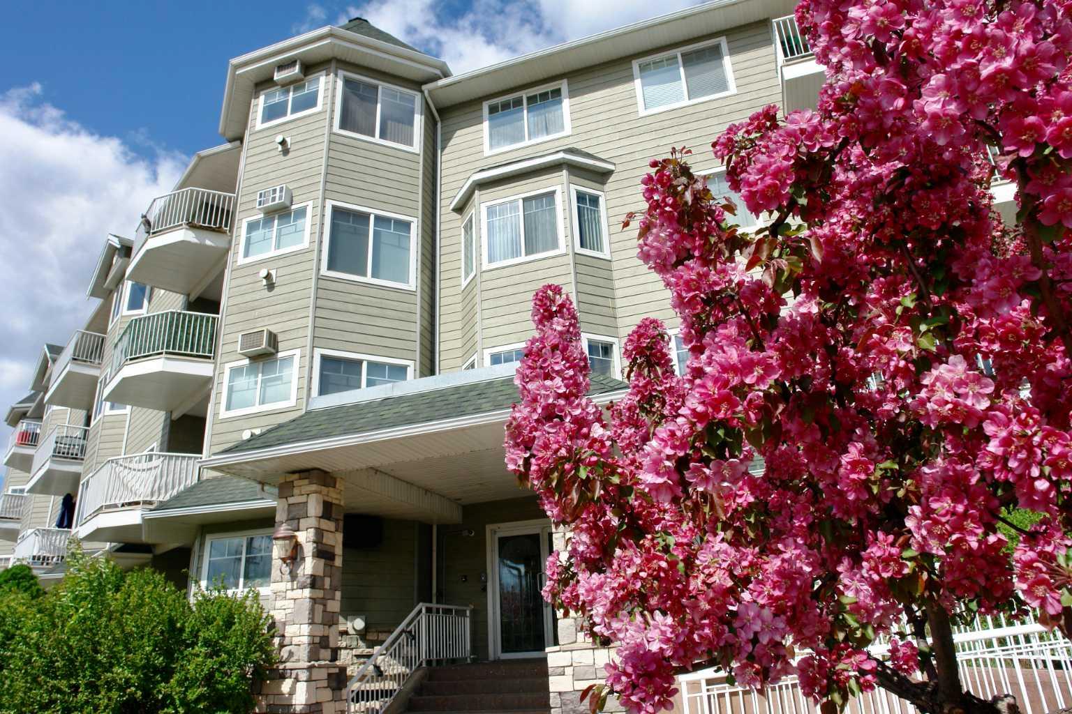 9918 Gordon Avenue 103