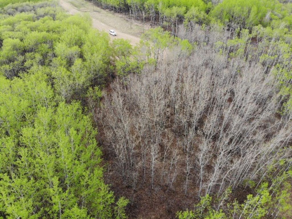 Photo of 29 450031 73 Range, Rural Wainwright No. 61, M.D. of, AB T9W 1L5 (MLS # A1150695)