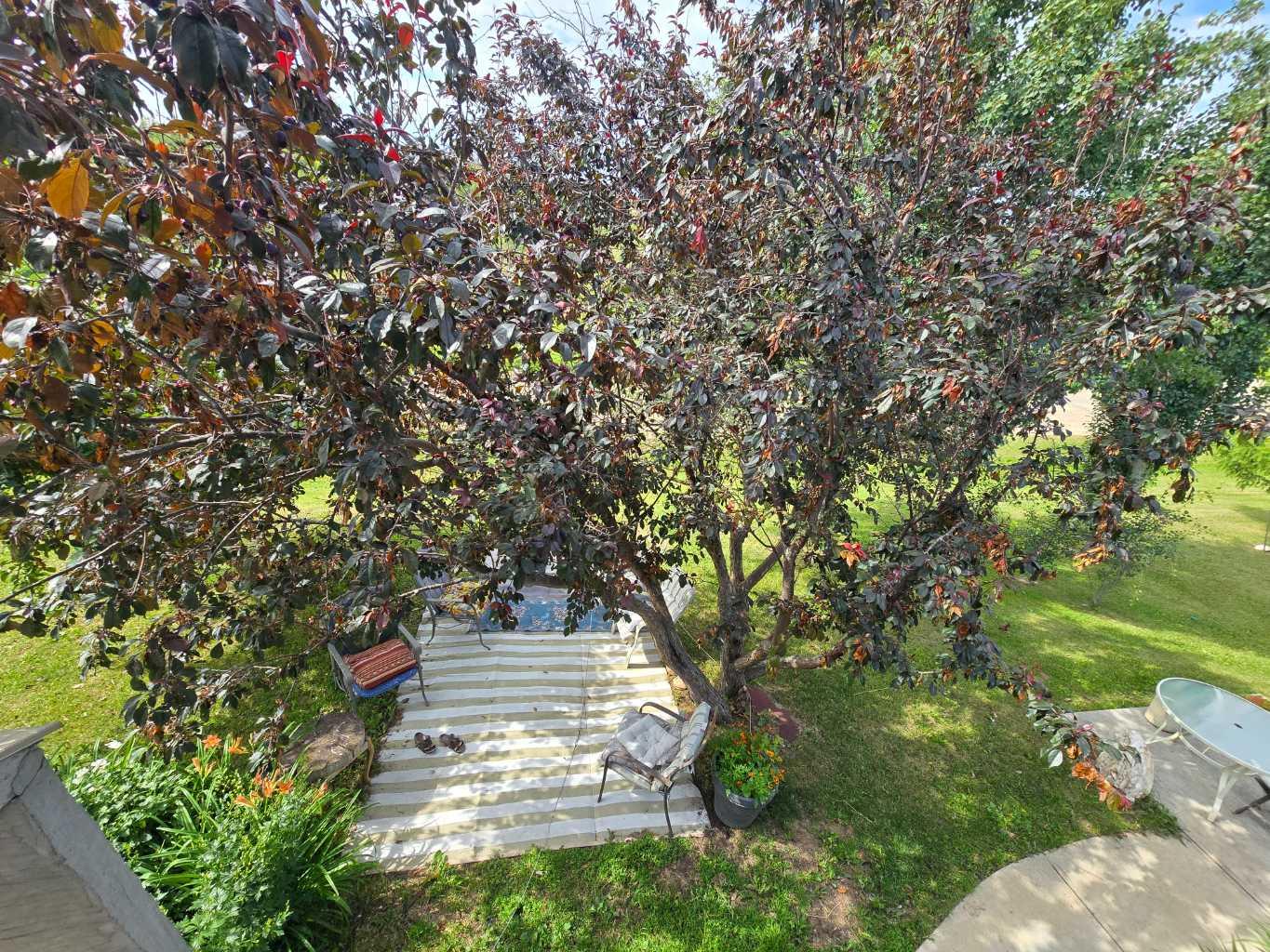 57115 Range Road 80 109 Main Street,