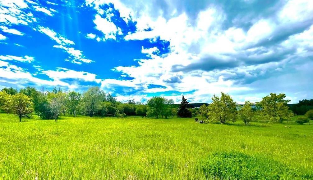 12528 Twp Rd 683 # NE 19