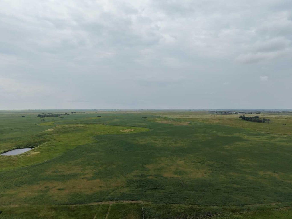 Photo of On Range Road 8-3, Rural Special Areas No. 4, AB T0C 2S0 (MLS # A2339460)