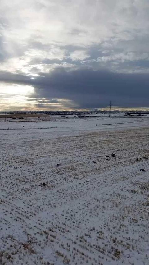 13971 15 Street NE Calgary AB T3P 2H7