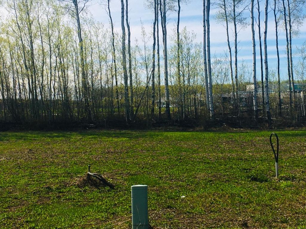 Photo of 41 Chonkolay Drive, High Level, AB T0H 1Z0 (MLS # A1229218)