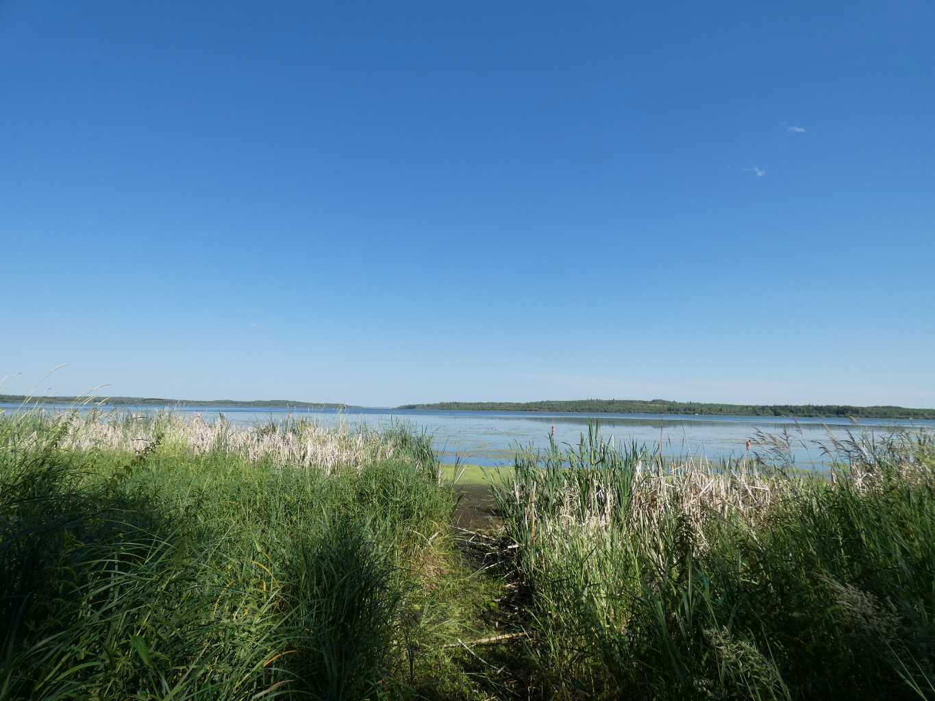 70539 Rge Rd 250 #14