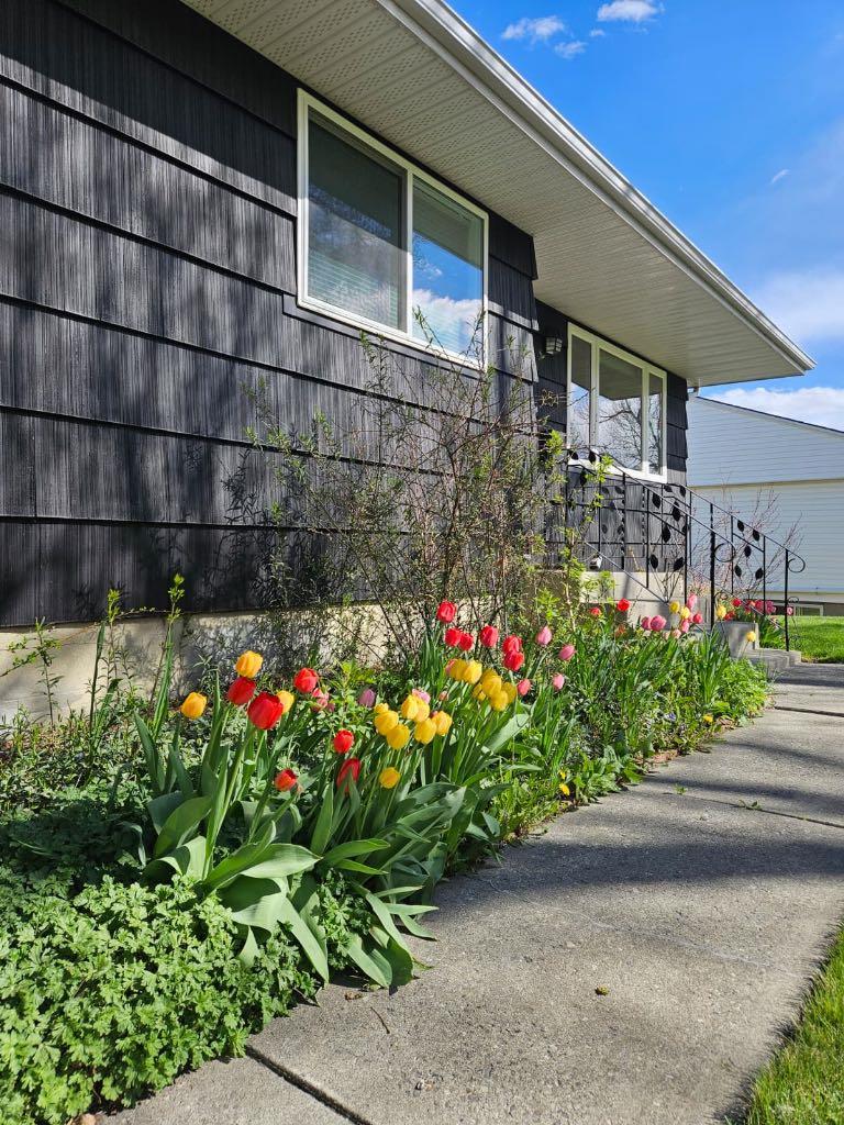 254 Hendon Drive NW