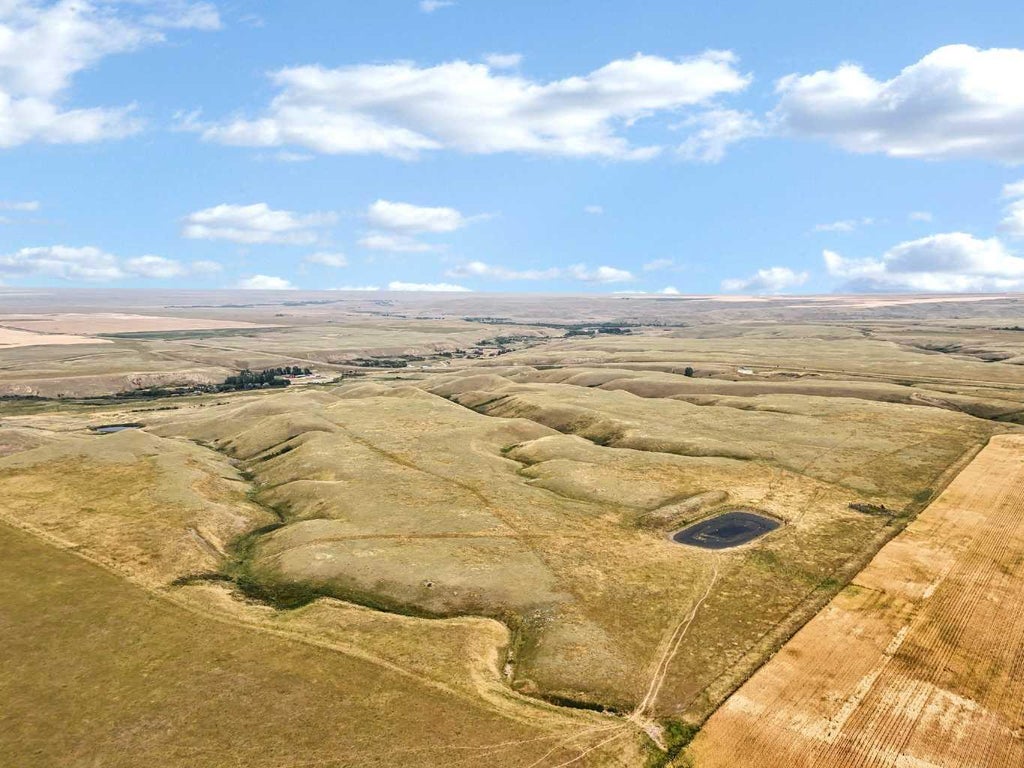 Photo of Rural Cypress County, Rural Cypress County, AB T0J 1V0 (MLS # A2337093)