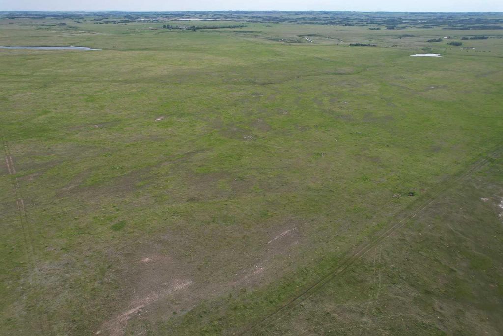 Photo of ON Range Road 154, Rural Stettler No. 6, County of, AB T0J 1G0 (MLS # A2324082)