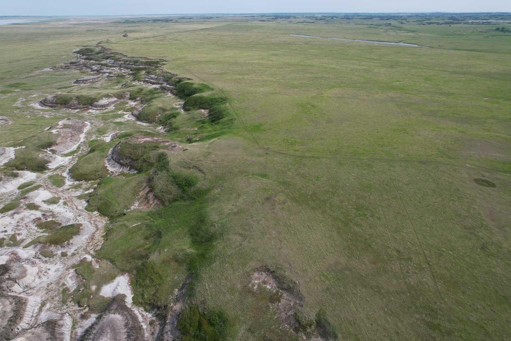 Photo of ON Range Road 154, Rural Stettler No. 6, County of, AB T0J 1G0 (MLS # A2324082)