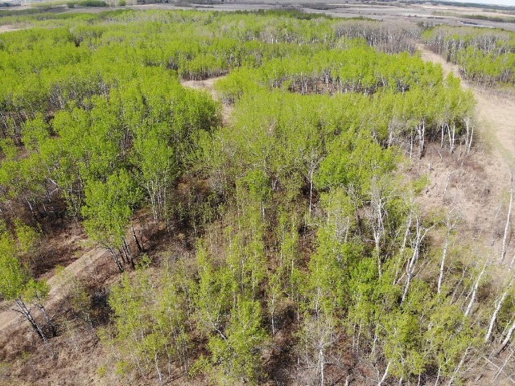 Photo of 450031 73 Range, Rural Wainwright No. 61, M.D. of, AB T9W 1L5 (MLS # A1150648)