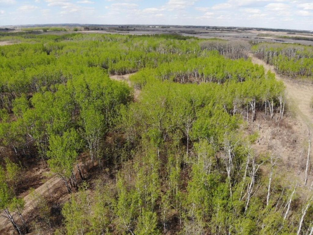 Photo of 450031 73 Range, Rural Wainwright No. 61, M.D. of, AB T9W 1L5 (MLS # A1150648)