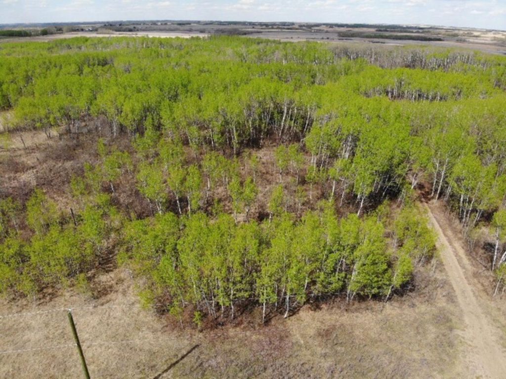 Photo of 450031 73 Range, Rural Wainwright No. 61, M.D. of, AB T9W 1L5 (MLS # A1150648)