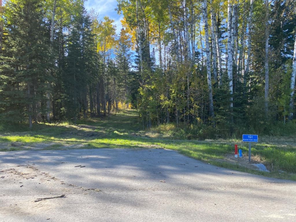 Photo of 161 Meadow Ponds Drive, Rural Clearwater County, AB T4T 1A7 (MLS # A1259234)