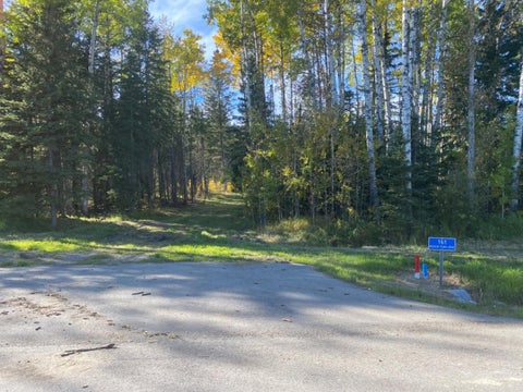 Photo of 161 Meadow Ponds Drive, Rural Clearwater County, AB T4T 2A2 (MLS # A1259234)