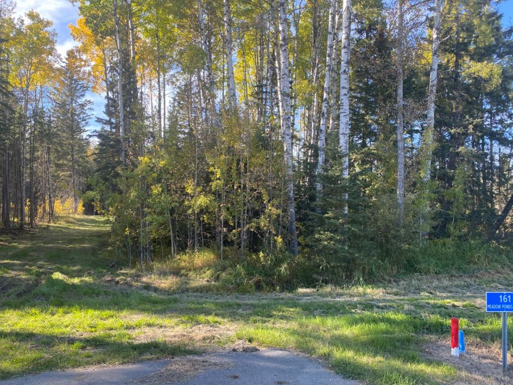 Photo of 161 Meadow Ponds Drive, Rural Clearwater County, AB T4T 1A7 (MLS # A1259234)