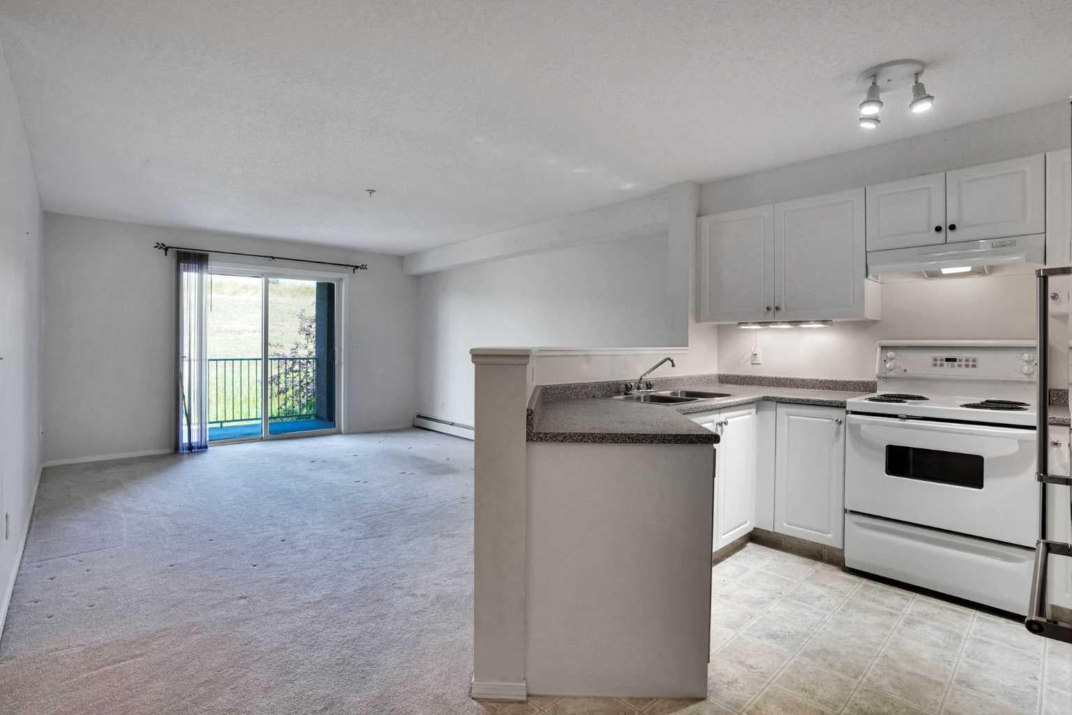 4000 Citadel Meadow Point NW 219