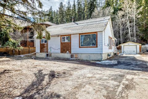 231 Three Sisters Drive Canmore AB T1W 2M4
