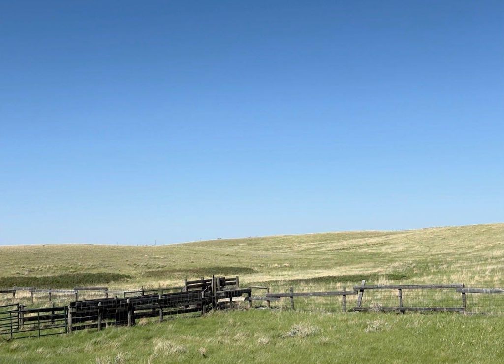 Photo of On Township Road 10, Rural Cypress County, AB T1B 0K3 (MLS # A2314956)
