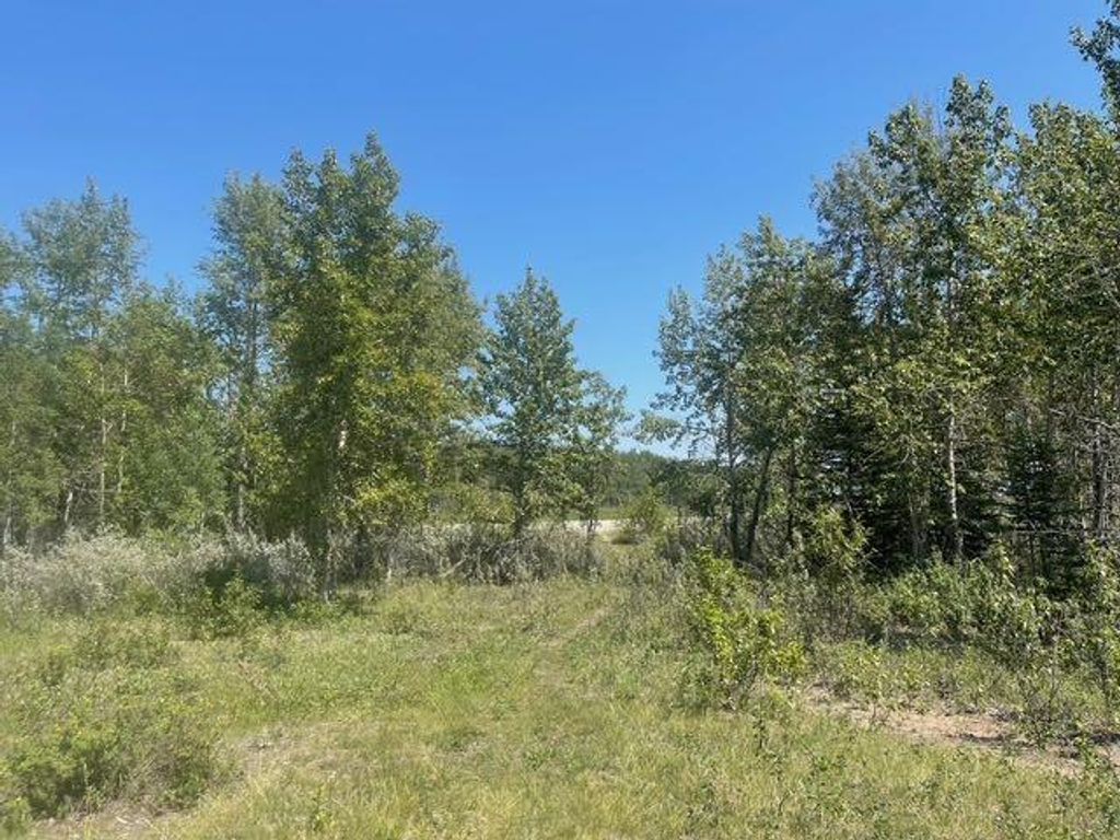 Photo of 48107 233 Avenue East, Rural Foothills County, AB T1S 4B1 (MLS # A2286464)