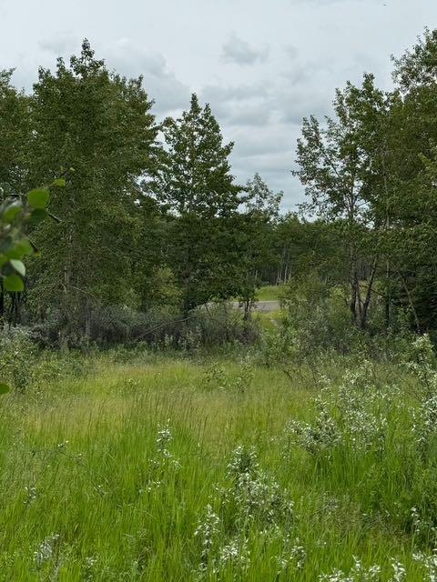 48107 233 Avenue East